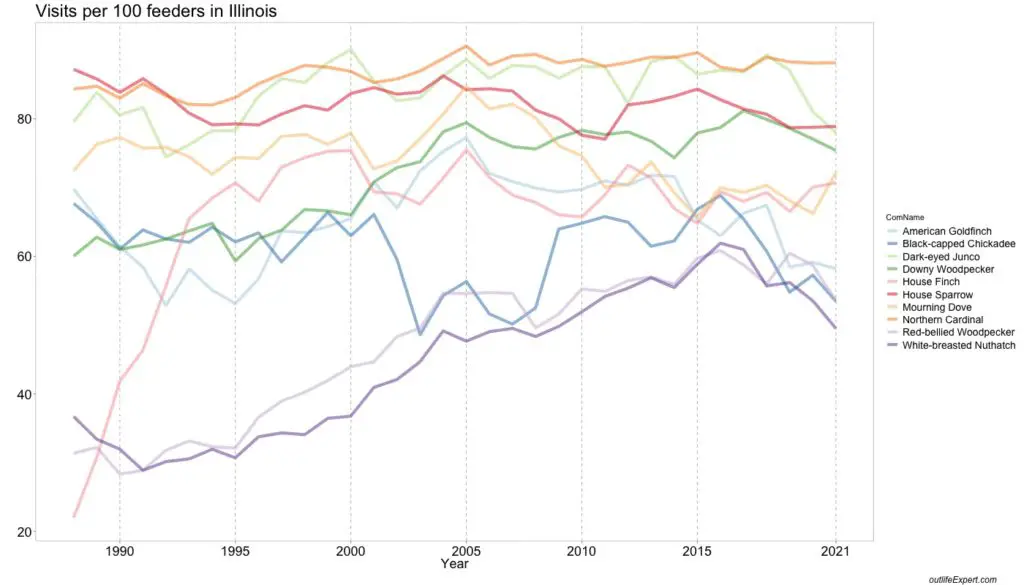 The trends in observations for the top 10 birds at at Illinois bird feeders over time recorded since 1988. 