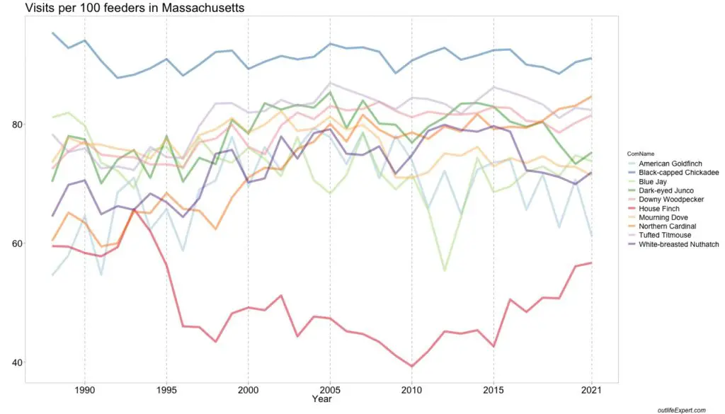 Bird feeder visits for the top 10 species in  Massachusetts over time.