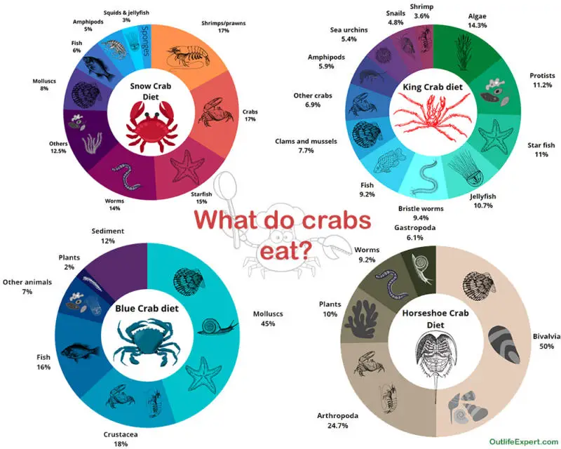Common crab diets. 