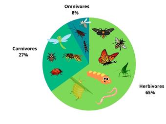Are Insects Herbivores? (Answered And Explained!) – Outlife Expert