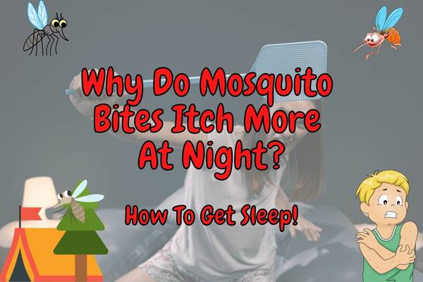 Why Do Mosquito Bites Itch More At Night?