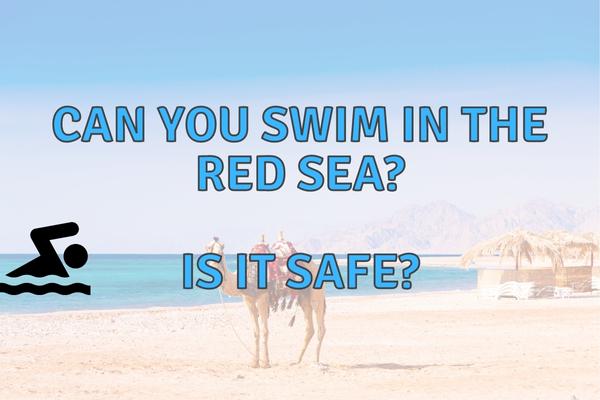 can you swim in the red sea?